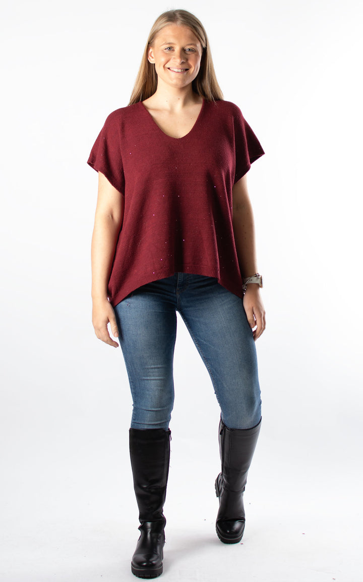 Sparkle V-Neck | Burgundy
