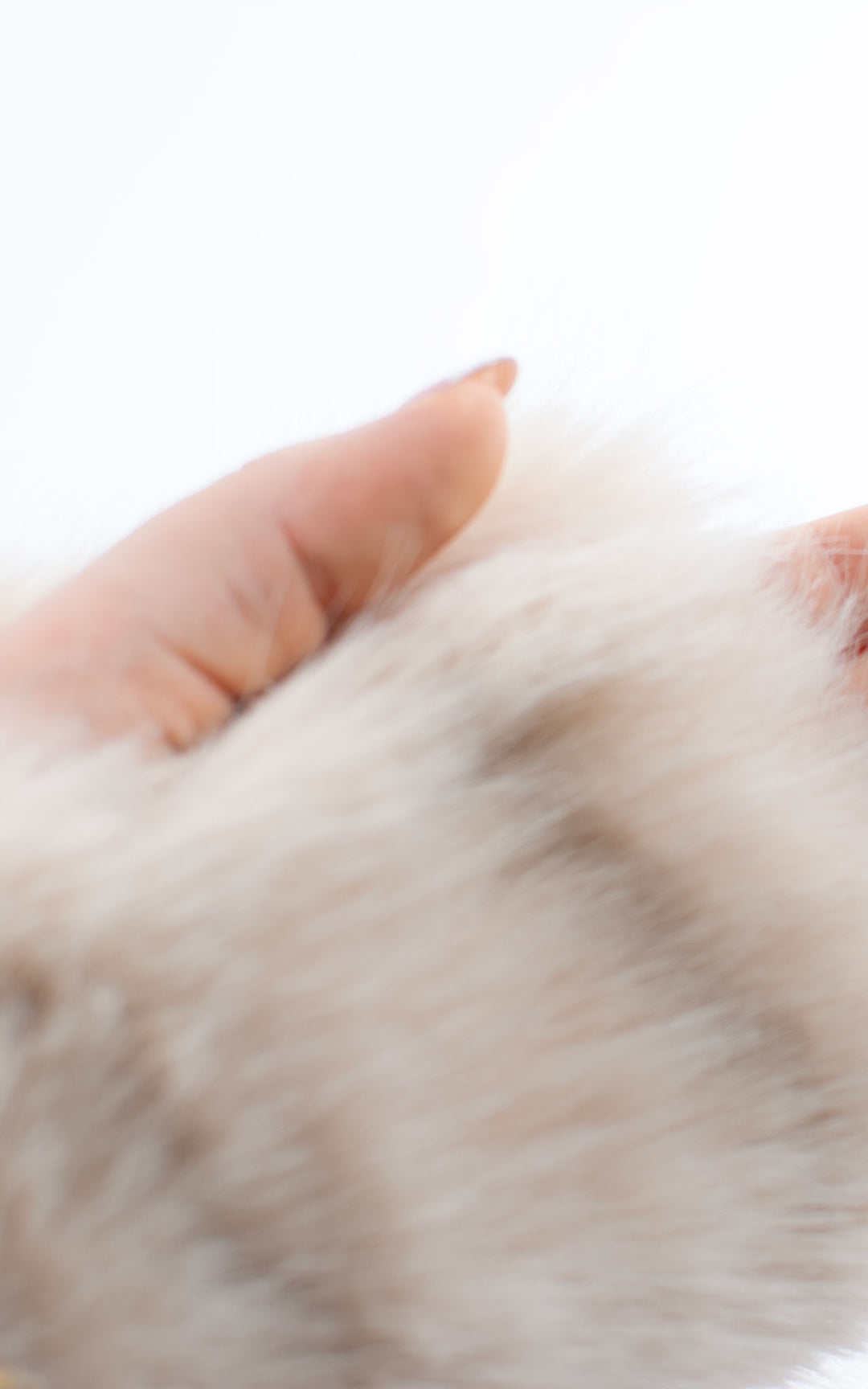 Fingerless Gloves | Faux Fur | Beige