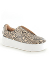 Riva Slip On Trainers | Snake