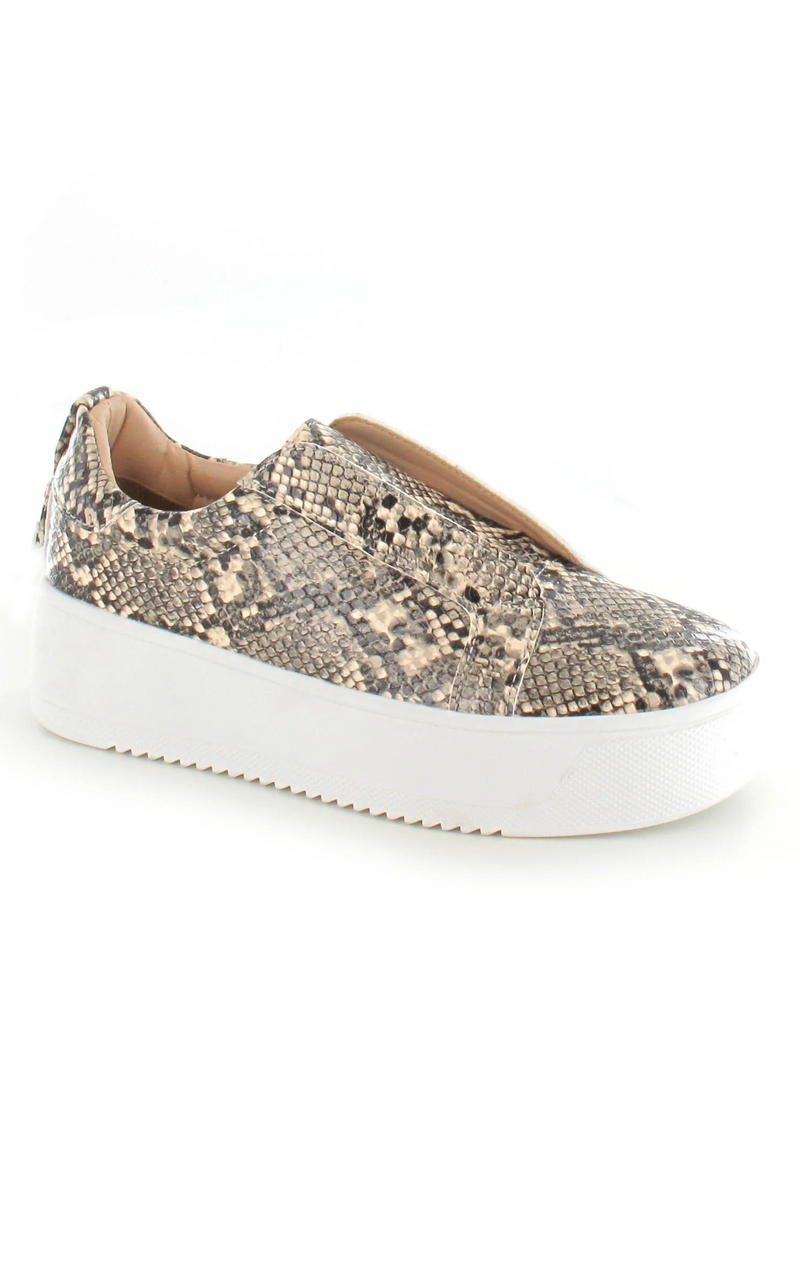 Riva Slip On Trainers | Snake