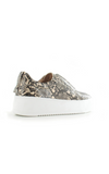 Riva Slip On Trainers | Snake