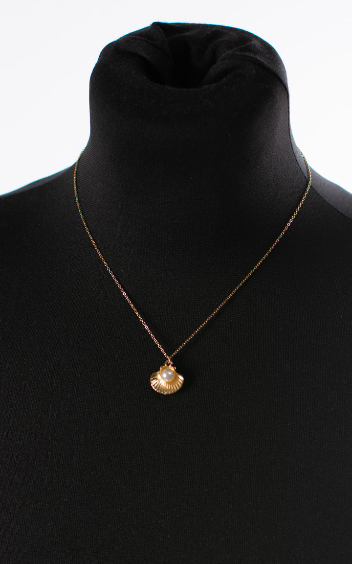 Pearl Seashell | Necklace | Gold