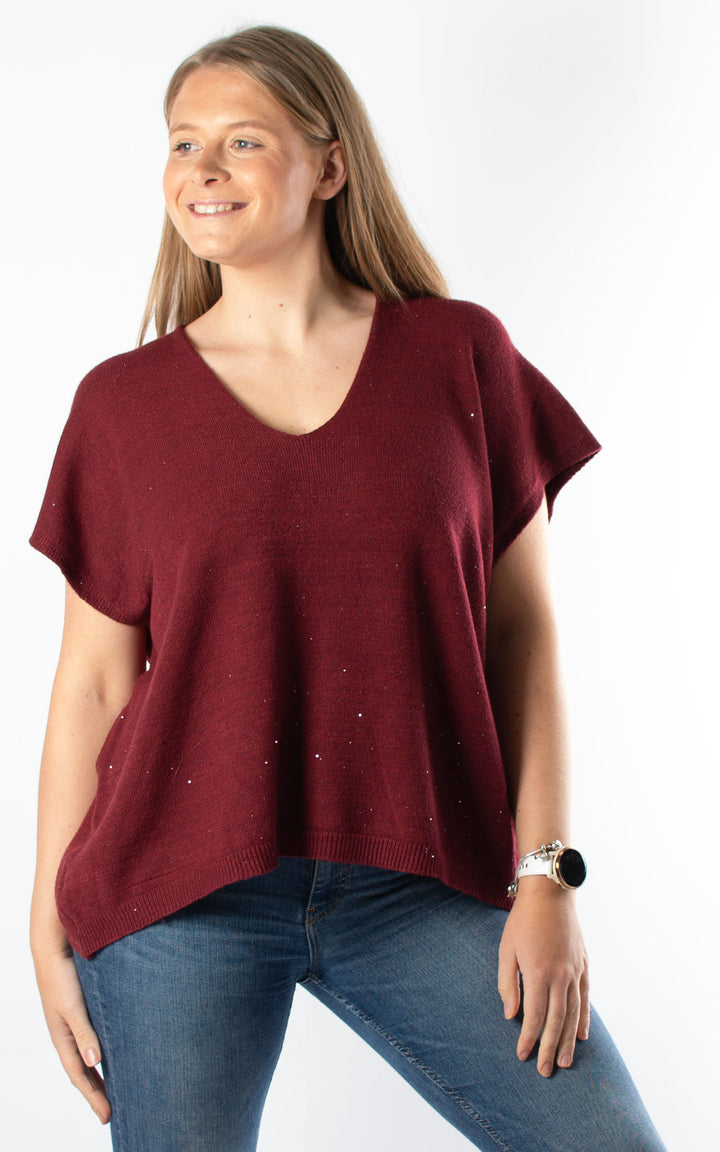 Sparkle V-Neck | Burgundy