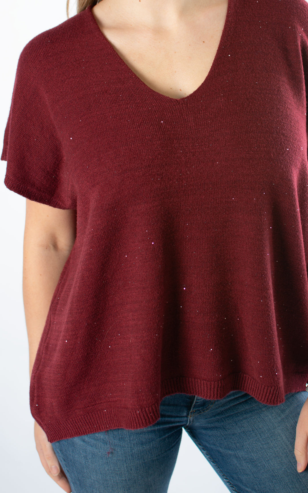 Sparkle V-Neck | Burgundy