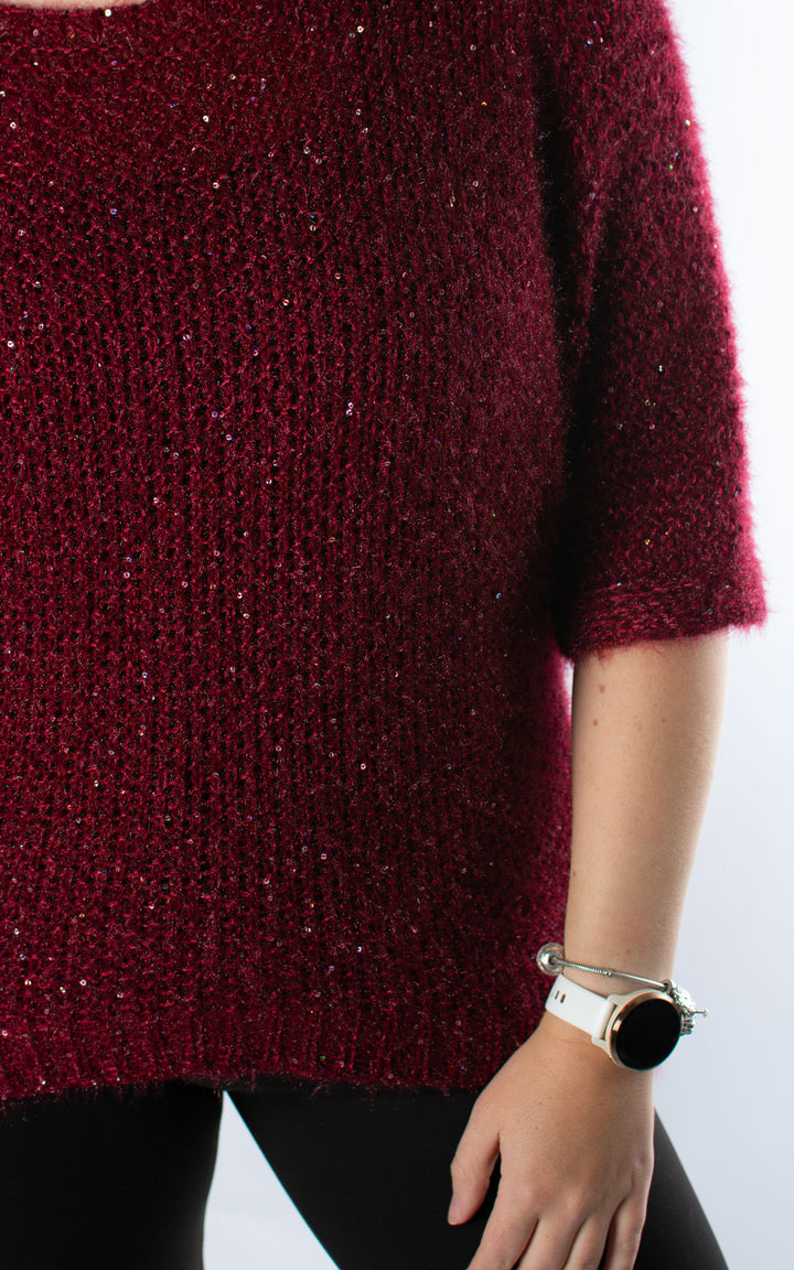 Tammy Sparkle Jumper | Red