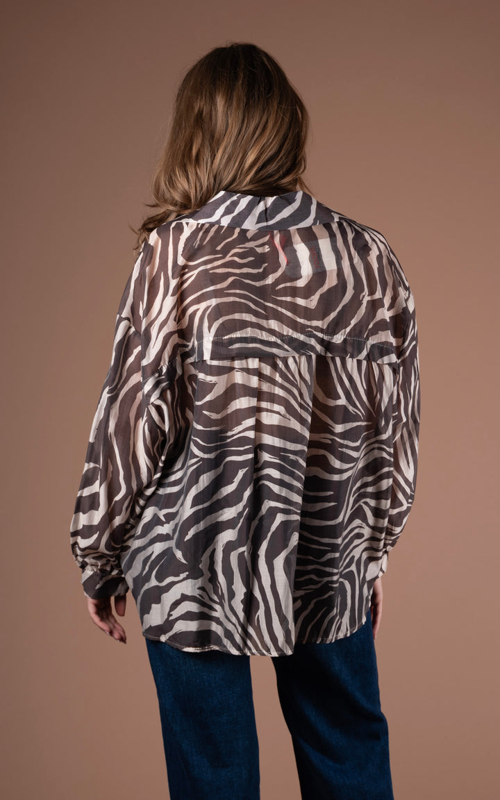 Zebra Shirt | Chocolate